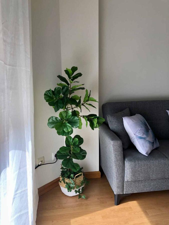 Apartamentos Schultz Gijón Eksteriør bilde